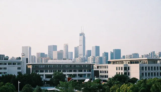 管理咨询在企业运营中的多场景应用解析